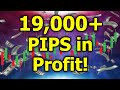Counting Pips In Forex...Here's A Breakdown of It - YouTube