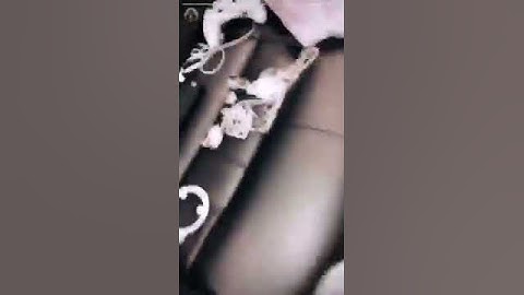 Chief keef - Today {SNIPPET}
