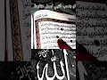 ما تستهزاش باللي هتشوفه شوفوا للاخر وتوكل على الله Foryou اكسبلور 