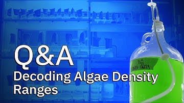 Decoding Algae Density Ranges - Q&A with an Expert