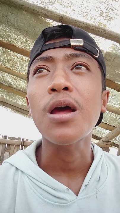 hayo sopo kui #storywa #storywa30detikgalau #katakata