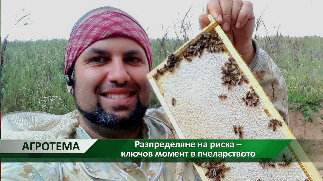Агротема: Разпределяне на риска – ключов момент в пчеларството