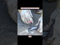 DIY Car Build &amp; Repair Tips | Transform Your Vehicle Like a Pro