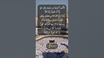 سورة الحج الآية ٤٠ بصوت الشيخ محمد صديق المنشاوي