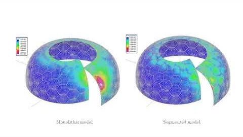 Learning from nature: the echinoid strategy to design a lightweight and resistant shell structure