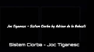 Adrian de la Bobesti ❌ Joc Tiganesc ( Sistem Ciorba ) 2020