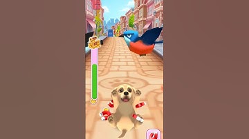 👉Pet Run GamePlay | Funny dog face | #trending #viral #gaming #shorts