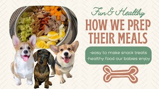 How to make easy, healthy and quick treats and meals for our corgis and dachshund.