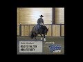 Gabe Hutchins&#39; Road to the 2018 NRHA Futurity Month 1