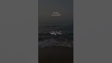 سورة آل عمران القارئ عبدالرحمن مسعد🤍#القرآن_الكريم#عبدالرحمن_مسعد#سورة_آل_عمران