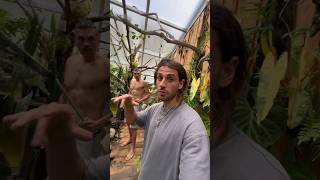 On Nourrit Des Piranhas 🩸😰