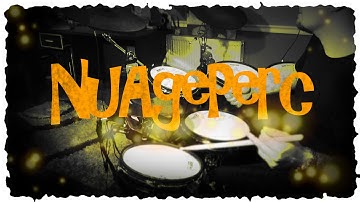 Alesis DM10X & Drum-tec Mesh Heads NuAgePerc