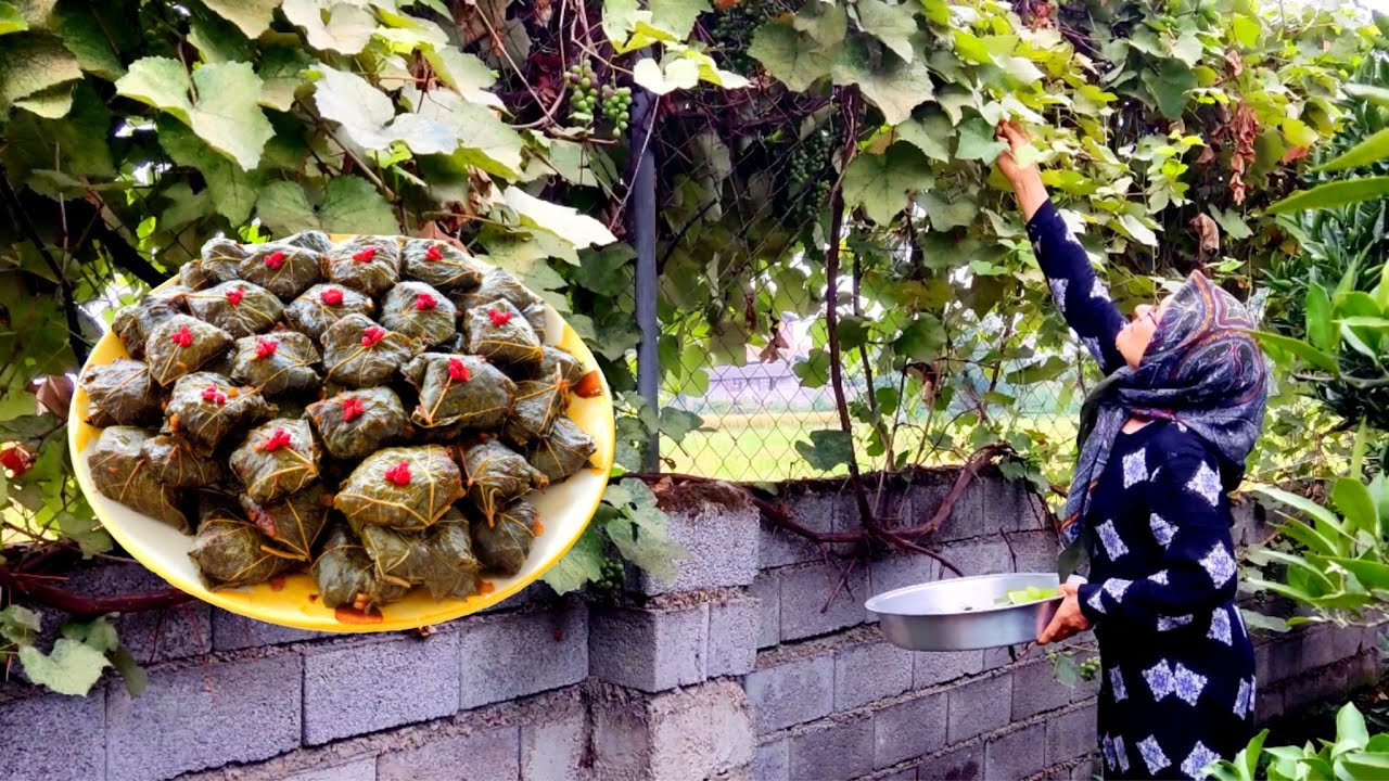 Traditional Iranian Grape Leaves Dolma from Our Garden | Village Life of Iran