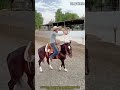 말 위에서 펼치는 환상적인 로프 기술 #worker #process #charro #lasso #cowboy