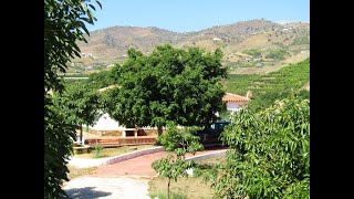 AX1019 - Cortijo MJ, V