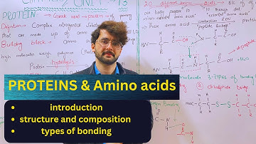Proteins (amino acids as building block of protein) | class 10 unit 13 biochemistry || mmk chemistry