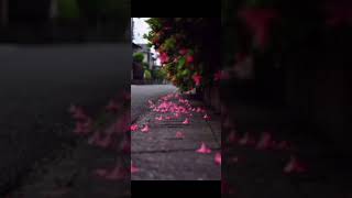 Afrofy Walk With Me extended