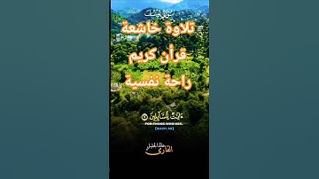 تلاوة خاشعة بصوت جميل ومؤثر #قران_كريم #قرآن #elmulquranعلم #المصحف