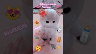 собираемся в Лянкяран