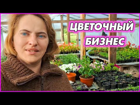 видео: Как заработать ДЕНЬГИ на глухом хуторе?