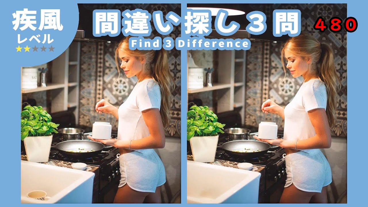 【間違い探し/脳トレ/難し過ぎる】脳の瞬発力を鍛える間違い探し 480 /【차이점을 찾아 】【Spot The Difference ...