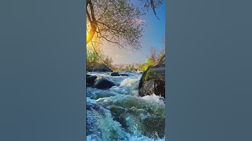 تلاوة هادئة تريح القلب ❤ والعقل تنسيك الدنيا وهمها 💚 قران كريم💚 بصوت جميل جدا تشعر براحة نفسية