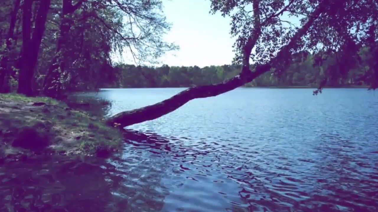 Шунгитовая вода долгая жизнь и здоровье