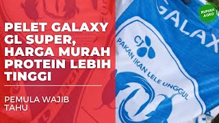 Review Pakan Lele Galaxy GL Super, Pakan Lele Agar Cepat Panen
