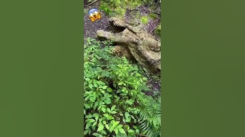 UM FÓSSIL DE DINOSSAURO🦖😱