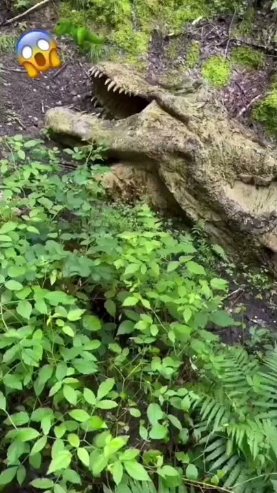 UM FÓSSIL DE DINOSSAURO🦖😱