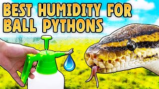 Ball Python Humidity!