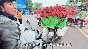Chợ vải/2/07/2025/ngã 3 nghĩa hồ giá vải thiều thiếu hàng chanh nhau,Vietnam lychee market.