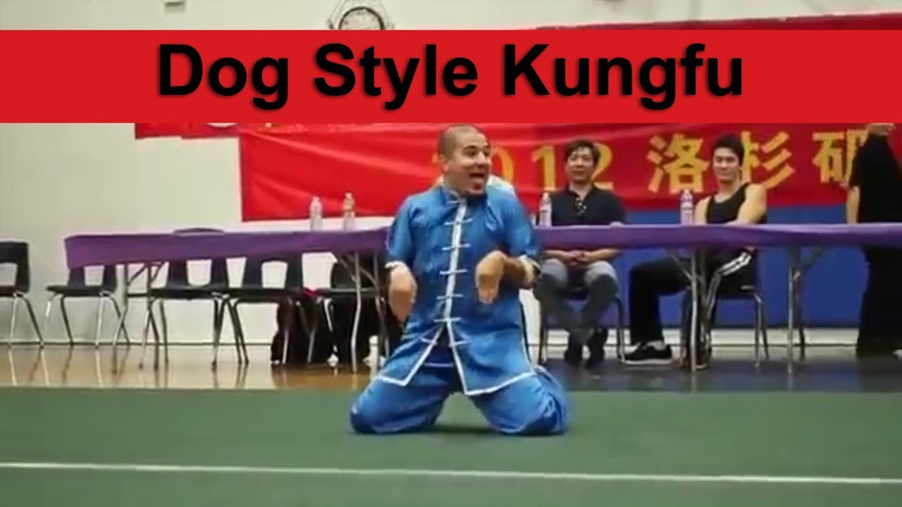 Dog Style Kungfu Wushu