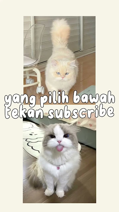 #pilihatasataubawah #shortsvideo #shortsfeed #semogarame #trendingshorts #rameindong #berandayt #fyp