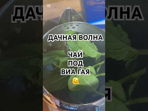 РАСПАКОВКА ЧАЙНИКА ПОД ДЖЕЙРАН 🤗ХОРОШЕГО НАСТРОЕНИЯ #shorts #музыка #дача #ссср #интересно