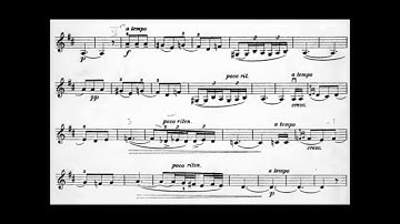 Pablo de Sarasate -- Spanish Dances No.1 -- Malaguena Op. 21