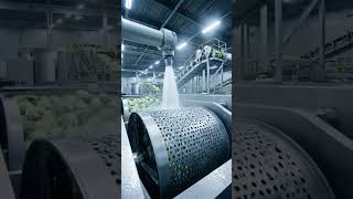 The Automated System Turning Fresh Vegetables Into Millions of Packaged Units #satisfying #factory ?