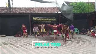 LAGU JARANAN PELAS TERI VOC. DISTA WIK WIK - TIRTO LANGGENG BUDOYO