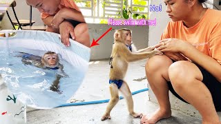 Monkey LyLy was angry because her mother did not agree to swim with her