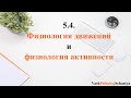 ⚡ 5.4. Физиология движений и физиология активности