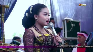 PAMBUKO SENI BARONG SINGO LUMAKSONO // KCN PRO AUDIO // EKO SHOOTING HD