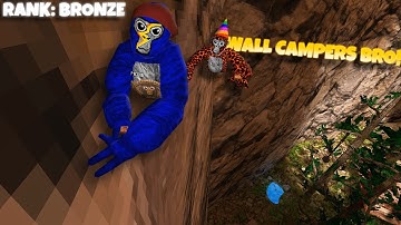 How Long Will It Take A PRO to Reach MAX RANK in Gorilla Tag?