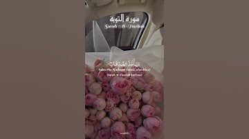 سورة التوبة | 💗 Surah At-Tawbah – ﴿ألم يعلمو أن الله هو يقبل التوبة﴾ تلاوة الشيخ ياسر الدوسري