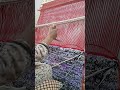       الزربية التقليدية التقليديه