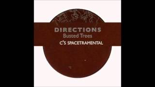 Directions - Busted Trees (c&#39;s spacetramental)