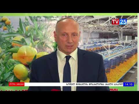 ციტრუსის საკოპორდინაციო შტაბი გაიხსნა