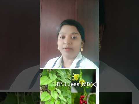 Diabetes ச ந த ல க ட ச ந த ல சர க கர Siddha Herbal Ayurveda Bloodpressure Tamilmedicine