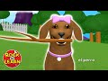 Quiz on Video Tutorial