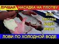 Эта рыболовная насадка на плотву удивит тебя на зимней рыбалке