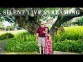 SILENT LIVE STREAMING